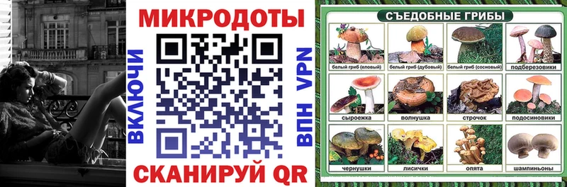 Купить  Орёл  Псилоцибиновые грибы MAGIC MUSHROOMS 